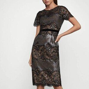 BCBGMaxAzria Black and Silver Lace Midi Dress